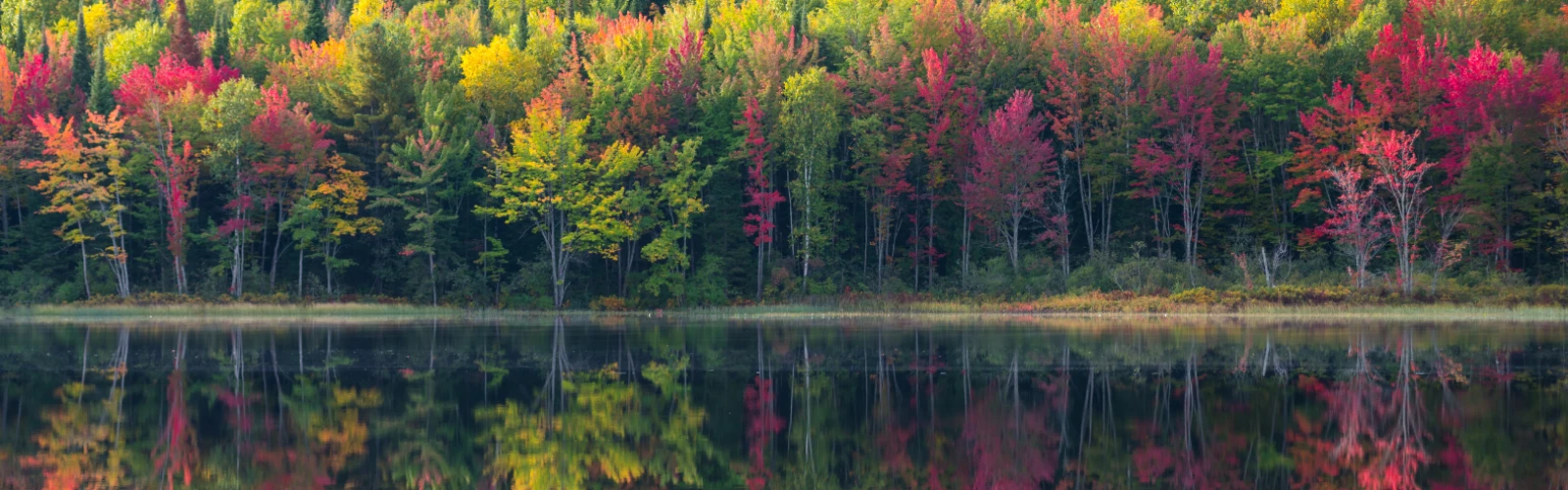 A Relaxing Day at Mead Park in Corry