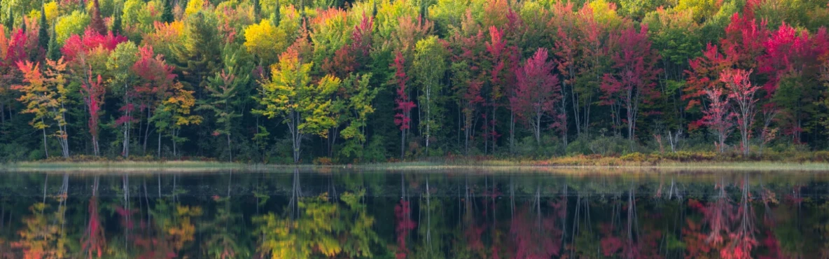 A Relaxing Day at Mead Park in Corry
